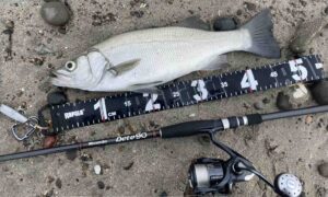 19ヴァンキッシュ 使い込んだインプレ